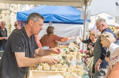 Fête de l’Asperge du Blayais