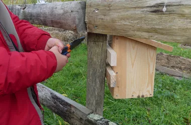 Construction d’une mangeoire à oiseau  à Terres d’oiseaux