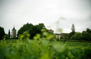 Château Peybonhomme Les Tours Vineyard Blaye Côtes de Bordeaux Cars 800x600 - Rachelle