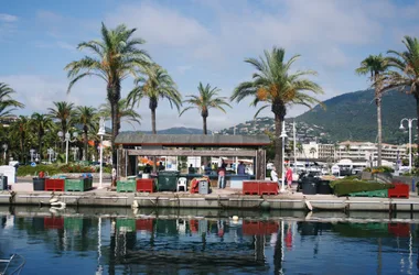 Marché aux poissons