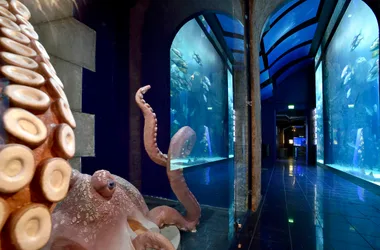 Oceanographic Museum in Monaco