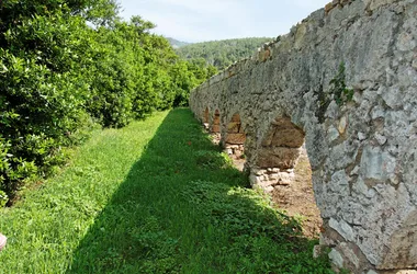 Visite guidée du vieux moulin à huile du Partégal dégustation des huiles et produits artisanaux