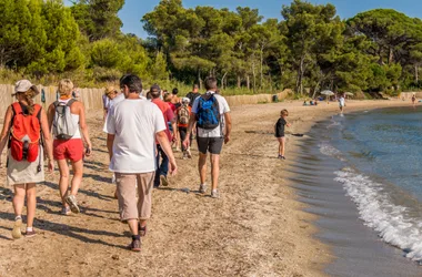 Visite guidée du littoral borméen