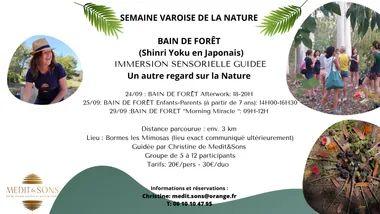 Bain de Forêt