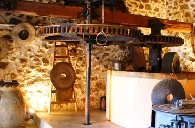 Visite guidée du vieux moulin à huile du Partégal dégustation des huiles et produits artisanaux