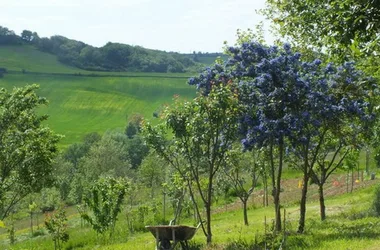 DOMAINE DE LABORDE - L'ETABLE