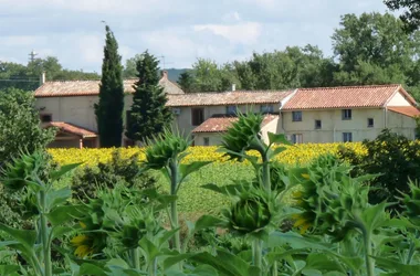 EN ROUGER – GITE COQUELICOT