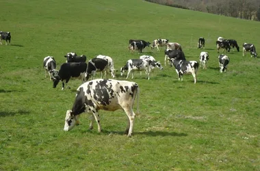 FERME DE LA MARG’AUDE