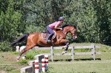 L’ÉTRIER DU LAURAGAIS – AMC ÉQUITATION