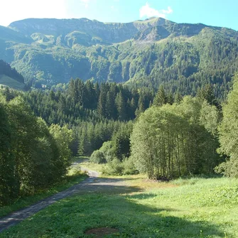 Les Cyclamens : Grand gîte pour groupe