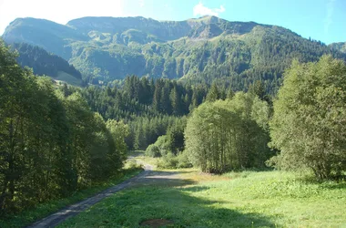 Les Cyclamens : Grand gîte pour groupe