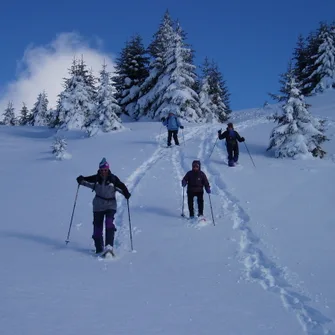 Les Glaciers – Randonnée hivernale