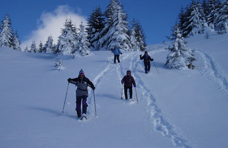 Les Glaciers – Randonnée hivernale