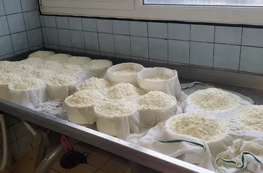 Vente de fromages à la ferme à Ballancy