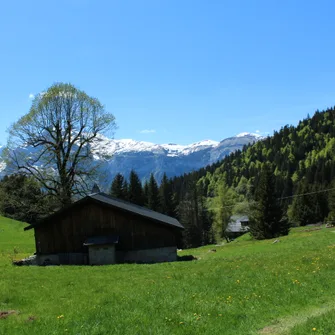 Les Molliets par Haute Combe et Sarbotte