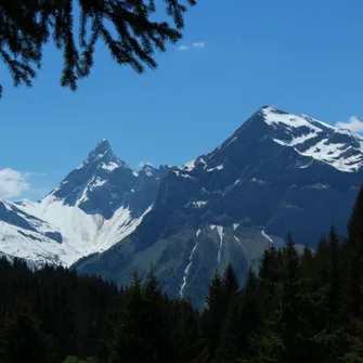 Les Molliets par Haute Combe et Sarbotte