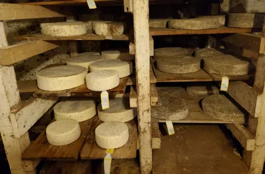 Vente de fromages à la ferme à Ballancy