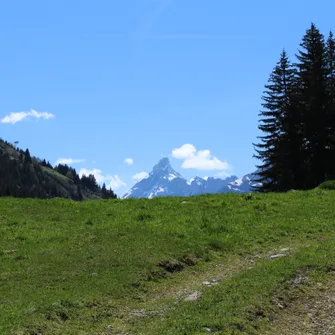 Les Molliets par Haute Combe et Sarbotte