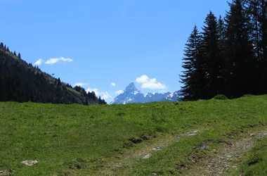 Les Molliets par Haute Combe et Sarbotte