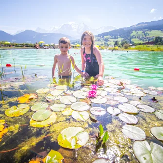 Plan d’eau biotope