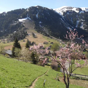 Tour de la Tête de Romme – Randonnée