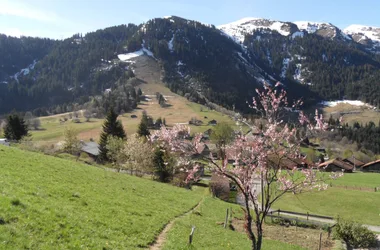 Tour de la Tête de Romme – Randonnée