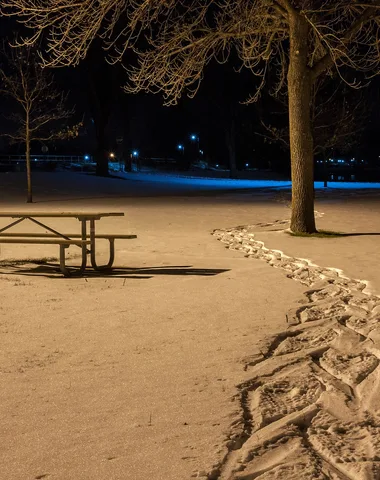 Nocturne en raquette et repas savoyard