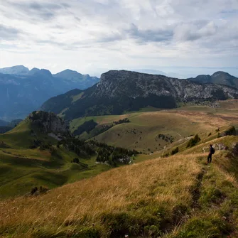 Plateau de Cenise