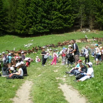 Visite à l’Alpage de Sommier d’Aval