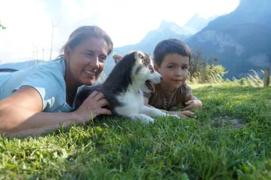 Rencontre des chiens sur leur lieu de vie