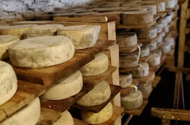 Vente de fromages à la ferme à Ballancy