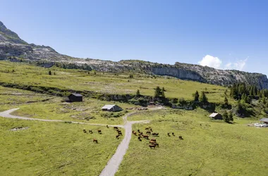 Boucle pédestre : L’alpage et son histoire