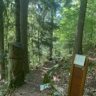 Sentier thématique du bois Credo et la cascade d’Orlier – Randonnée