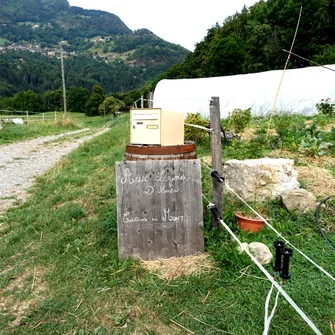 Aux légumes d’antan