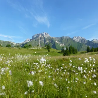 Plateau de Cenise