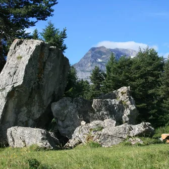 Randonnée pédestre : Les Alpages d’Arâches