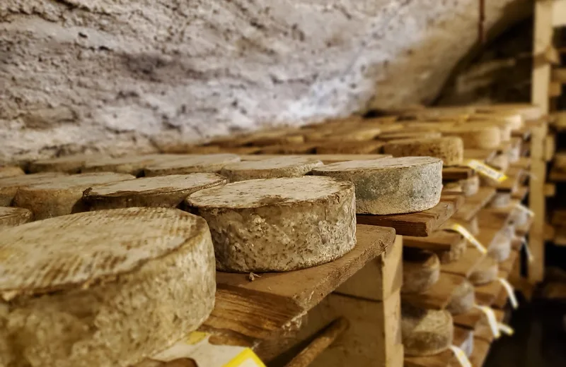 Vente de fromages à la ferme à Ballancy