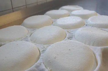 Vente de fromages à la ferme à Ballancy