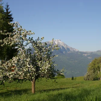 Vers l’alpage d’Agy – Randonnée