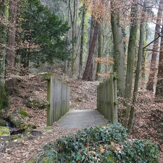 Sentier thématique du bois Credo et la cascade d’Orlier – Randonnée