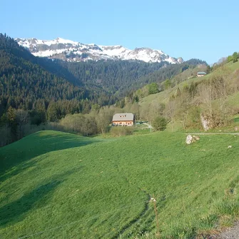 Les Cyclamens : Grand gîte pour groupe