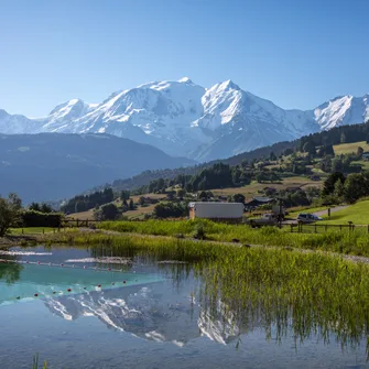 Plan d’eau biotope