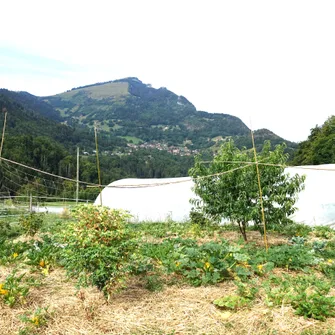 Aux légumes d’antan