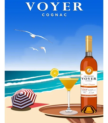 Francois Voyer Cognac VSOP