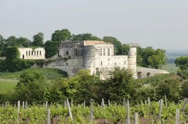 Château de Bouteville