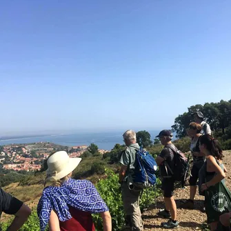 “VINOHRANDO”: WALK IN THE VINEYARDS