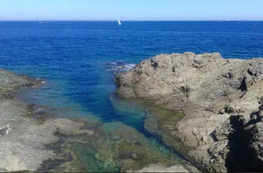 THE COASTAL PATH