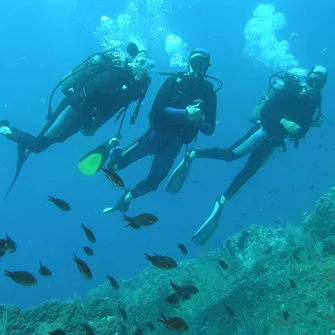 CIP COLLIOURE – DIVING SCHOOL