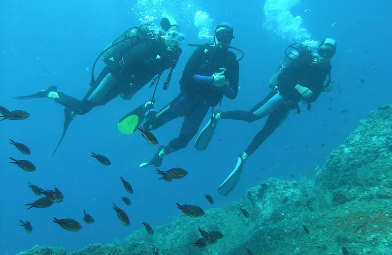 CIP COLLIOURE – DIVING SCHOOL