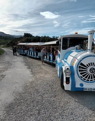 PETIT TRAIN TOURISTIQUE